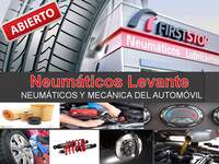 Neumáticos Levante